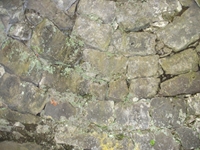 qua Rocca10062012 188